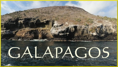 HP Galapagos